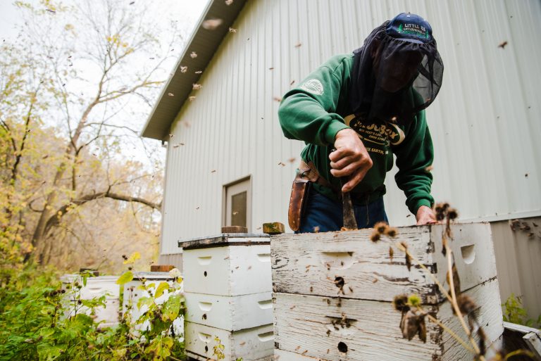 Eugene Woller, owner of Gentle Breeze Honey in Mount Horeb, opens one of his 600 beehives. Woller started his honey business in Wisconsin in 1965.