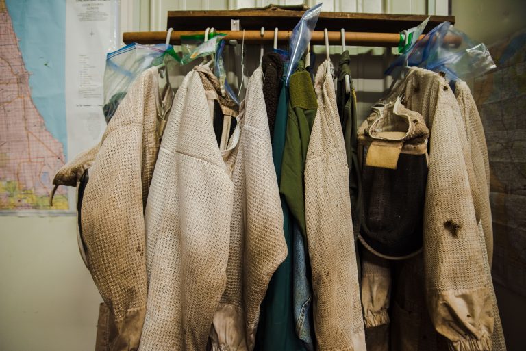 Beekeepers protect their faces with netting, but some wear more protective gear than others.