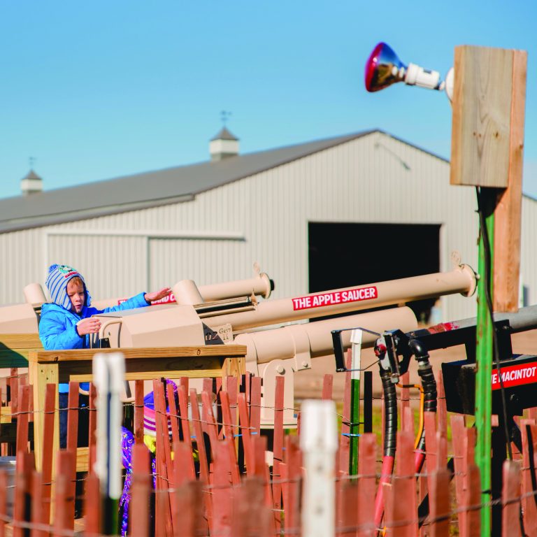 Visitors enjoy the "apple saucer," which shoots apples at a target across the pitch.