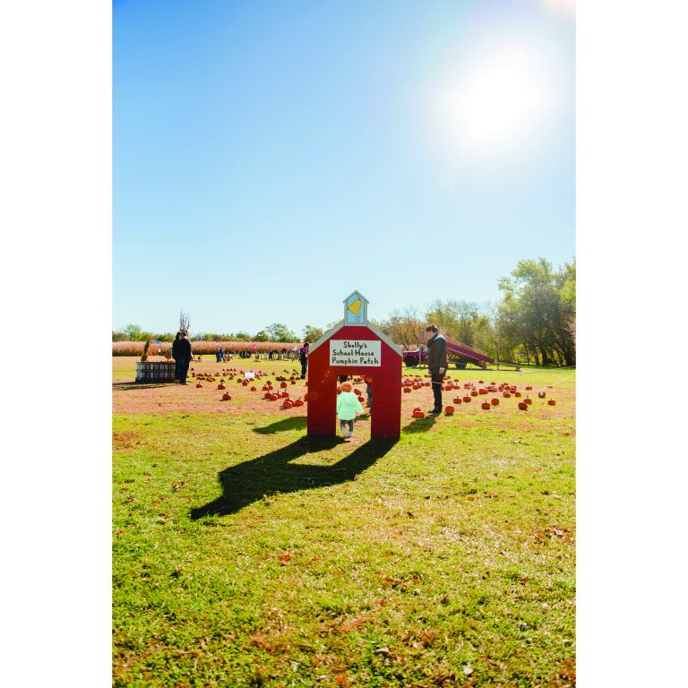 Children run through homemade playgrounds at Skelly’s Farm.